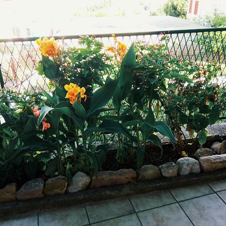 Vila Umicevic Hotel Биела Екстериор снимка